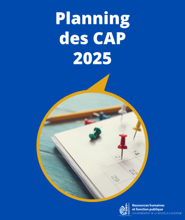 planning CAP 2025