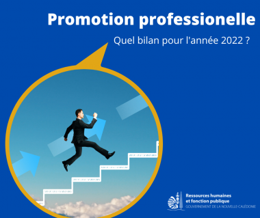 promotion_professionnelle.png